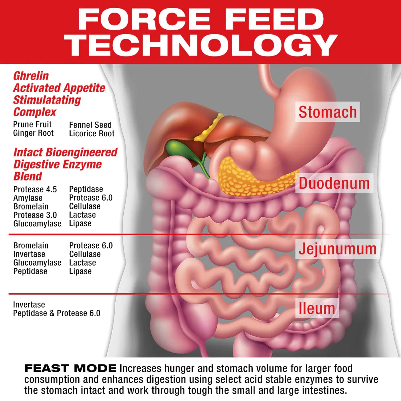 MuscleMedsFeast Mode - Appetite Stimulating ComplexAppetite Stimulating ComplexRED SUPPS